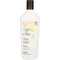 BAIN DE TERRE by Bain de Terre