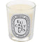 DIPTYQUE EUCALYPTUS by Diptyque