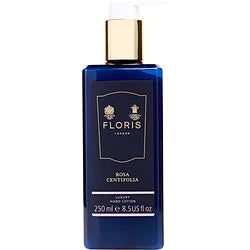 FLORIS ROSA CENTIFOLIA