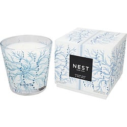 NEST OCEAN MIST & SEA SALT