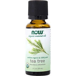 ESSENTIAL OILS NOW