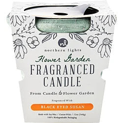 FLOWER GARDEN BLACK EYED SUSAN by