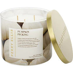PERRY ELLIS PUMPKIN PICKING