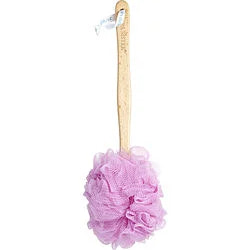 240201289.webp