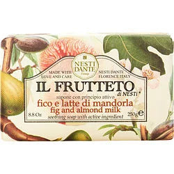 Nesti Dante